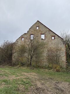 Fotografia z Iwona Bambacht na trase