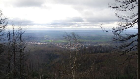 Photo de Christian Bergemann le long du parcours