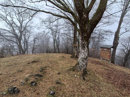 Foto de Marco Pezzuolo a lo largo del recorrido