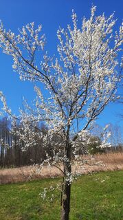 Fotografia z Enkidu55 na trase