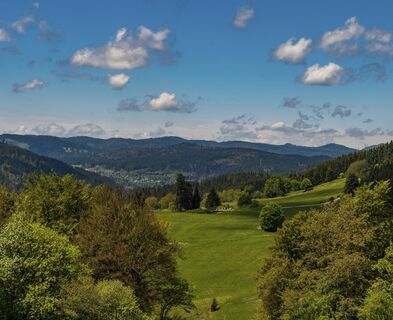 Bötzbergsteig