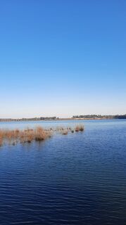 Foto de Enkidu55 a lo largo del recorrido