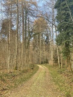 Fotografija s spletne strani Corinne Schmitt na poti