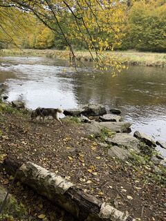 Foto von Dominik Müllner entlang der Tour
