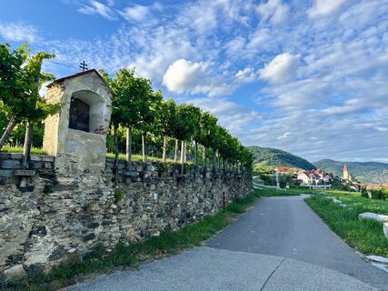 Fotografia z Birgit Krenner na trase