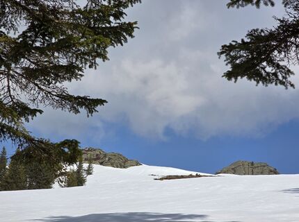Photo de MRDL le long du parcours