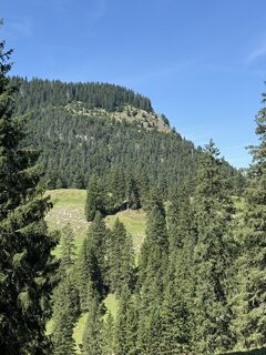 Foto von Passport1405 entlang der Tour