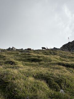 Fotografie z Egon Dullinger na trase