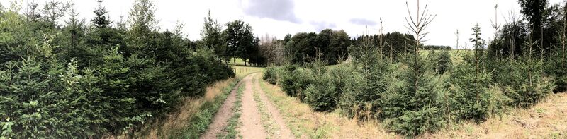 Ennepetal_Wanderweg