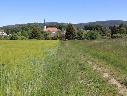 Blick auf Cunewalde
