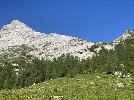 Foto da petermarx6 lungo il tour