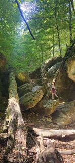 Csesznek, Közép-Dunántúl/Magyarország