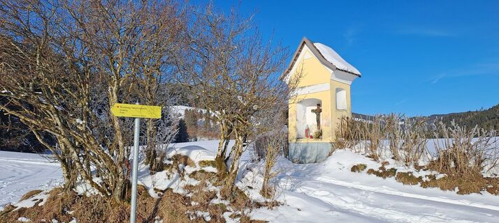 Foto von Glanzer Julius entlang der Tour