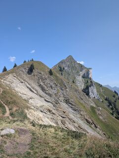 Fotografija s spletne strani Dimitri Friesen na poti