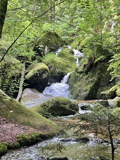 Photo de Ralf Umminger le long du parcours