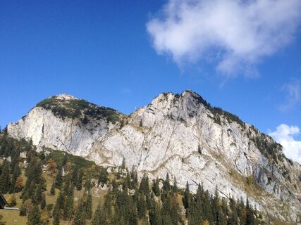 Ross- und Buchstein