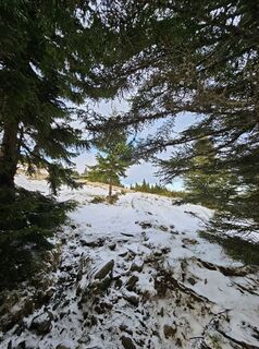 Foto von Ingrid H entlang der Tour