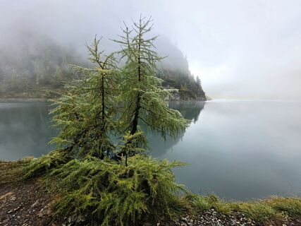 Photo de MRDL le long du parcours