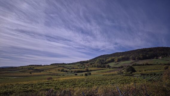 Fotografia z Wörni68 na trase
