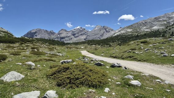 Fotografia z Uwe Schumann 2 na trase