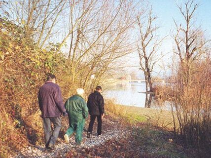 Eine romantische Abkürzung entlang der Aare