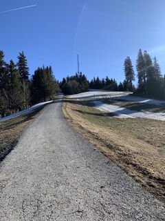 Fotografia z Irene Krammer na trase