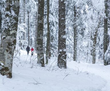 Winterwanderweg