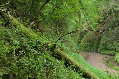 Landgrafenschlucht