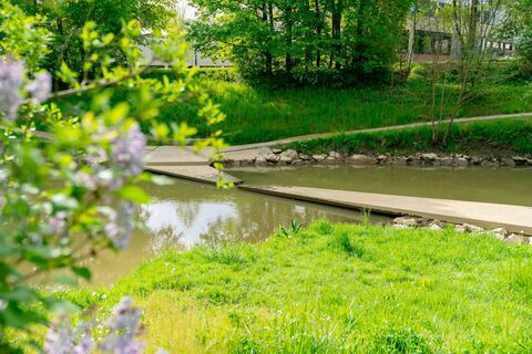 Feldbacher Flusslandschaft