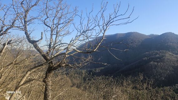 Photo de Huanita Grosman le long du parcours