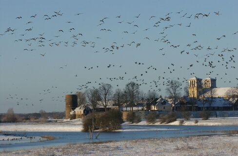 Winter in Rees