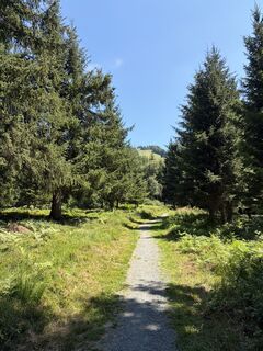 Foto de Louis Köhler a lo largo del recorrido
