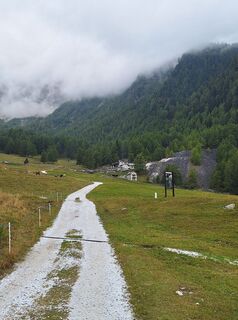 Photo de Stefan Lemberger le long du parcours