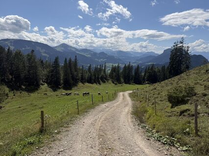 Foto von Linus Friedmann entlang der Tour