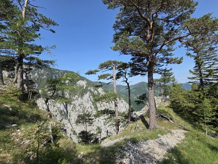 Foto von GerhardAho entlang der Tour