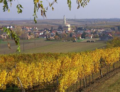 Sortenwanderweg Platt