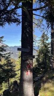 Photo de Alexander Salem le long du parcours