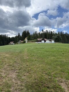 Foto von Reinhard Frewein entlang der Tour