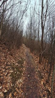 Zdjęcie z Regina Fleischmann wzdłuż trasy