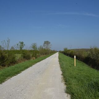 Entre vignes et marais2