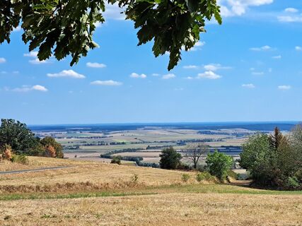 Photo de Edith Moser le long du parcours