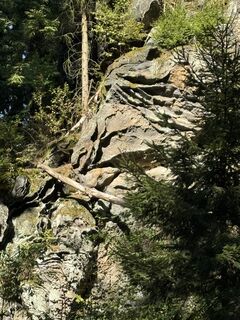Photo de Madlen Tittmann le long du parcours