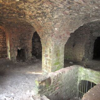 Fledermausgewölbe in der Kollenburg
