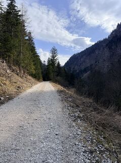 Foto von Planinski Puls entlang der Tour