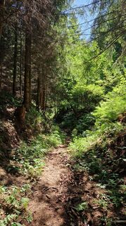 Photo de Erna Linser le long du parcours