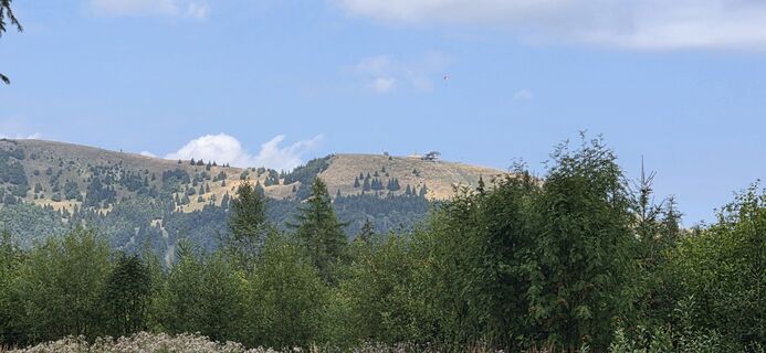 Photo de Peter A. le long du parcours