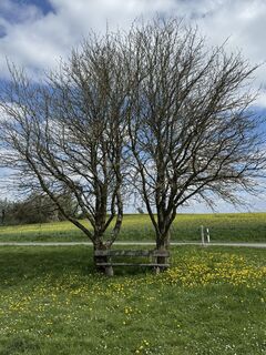 Photo de Christian H. le long du parcours