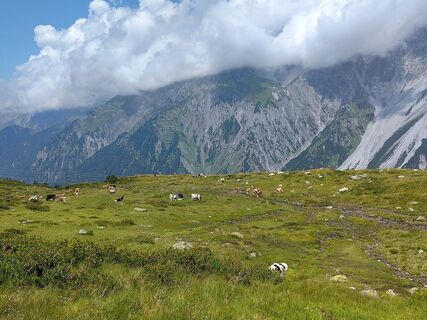 Foto von Sylvia Bierbaumer entlang der Tour