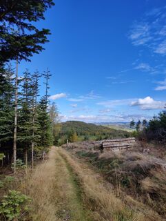 Zdjęcie z DevilsBastard wzdłuż trasy