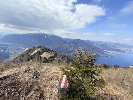 Foto von Natur_erleben_dg entlang der Tour